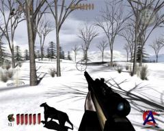 :  / Pro Duck Hunting