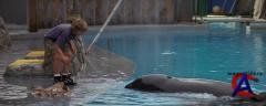   / Free Willy