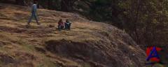   2:   / Free Willy 2: The Adventure Home