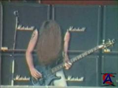 Metallica -    / Cliff Em All