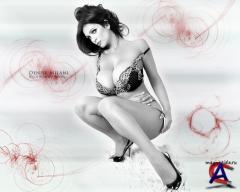 Top Sexy Girls Wallpapers HD Pack 13