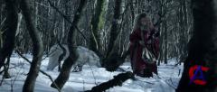    ( ) / Survivre avec les loups