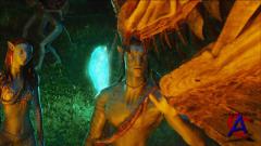  / Avatar (HD)