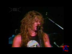 Metallica -    / Cliff Em All