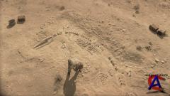 NG -  :   / Sea Monsters: A Prehistoric Adventure