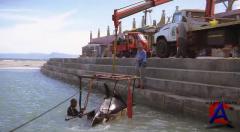  :     / Free Willy: Escape from Pirates Cove