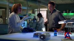 CSI:   - / CSI: NY (5 )