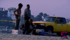 C.S.I.:  / CSI: Miami (1 )