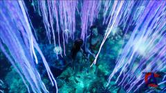  / Avatar (HD)