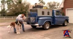:   / Beethovens Big Break