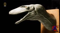 NG - -  / NG - Wierdest Dinosaurs (Bizzare Dinos)