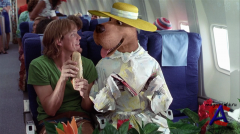 - / Scooby-Doo