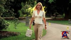 C.S.I.:  / CSI: Miami (4 )