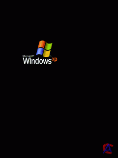 100   240320