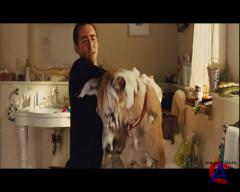  / Marmaduke