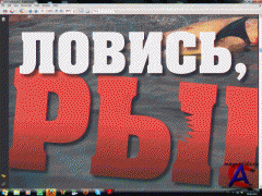 Total DVD 8 ()