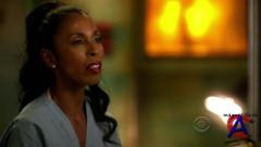 C.S.I.:  / CSI: Miami (8 )