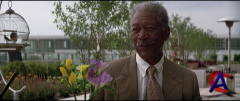   / Dark Knight, The