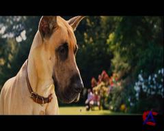  / Marmaduke