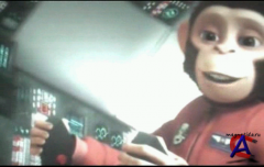   :   / Space Chimps 2: Zartog Strikes Back