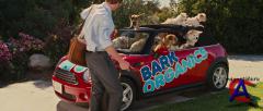 / Marmaduke