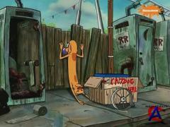  / CatDog (3 )