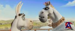   / Donkey Xote