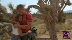   ( ) / Joshua Tree