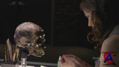  / Bones (5 )