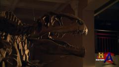 HISTORY -    / HISTORY - Prehistoric Monsters Revealed