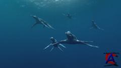 NG -  :   / Sea Monsters: A Prehistoric Adventure