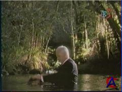   / Fantasy Island (1 )