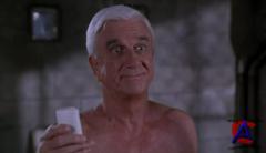   33 1/3:   / Naked Gun 33 1/3: The Final Insult