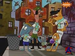 / CatDog (3 )