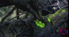  / Predator [HD]