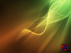 Web Pack 1