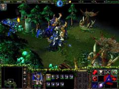 Warcraft 3: Frozen Throne v.1.24c [RePack  games_vandal]