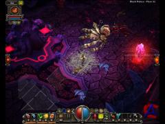 Torchlight