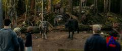 . . . / The Twilight Saga: Eclipse