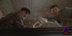   / Mousehunt
