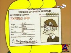  (16 ) / Simpsons, The