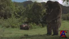    / Mighty Joe Young