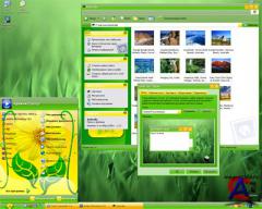25   Windows XP