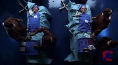  / Nip/Tuck (4 )