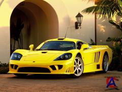     "Saleen"