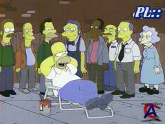  (12 ) / Simpsons, The