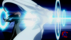- / D. Gray-Man