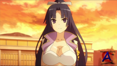     / Okamisan