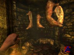 Amnesia: The Dark Descent /  -  