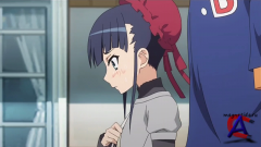     / Okamisan